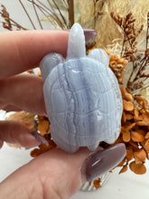 Load image into Gallery viewer, Blue Lace Agate Turtle
