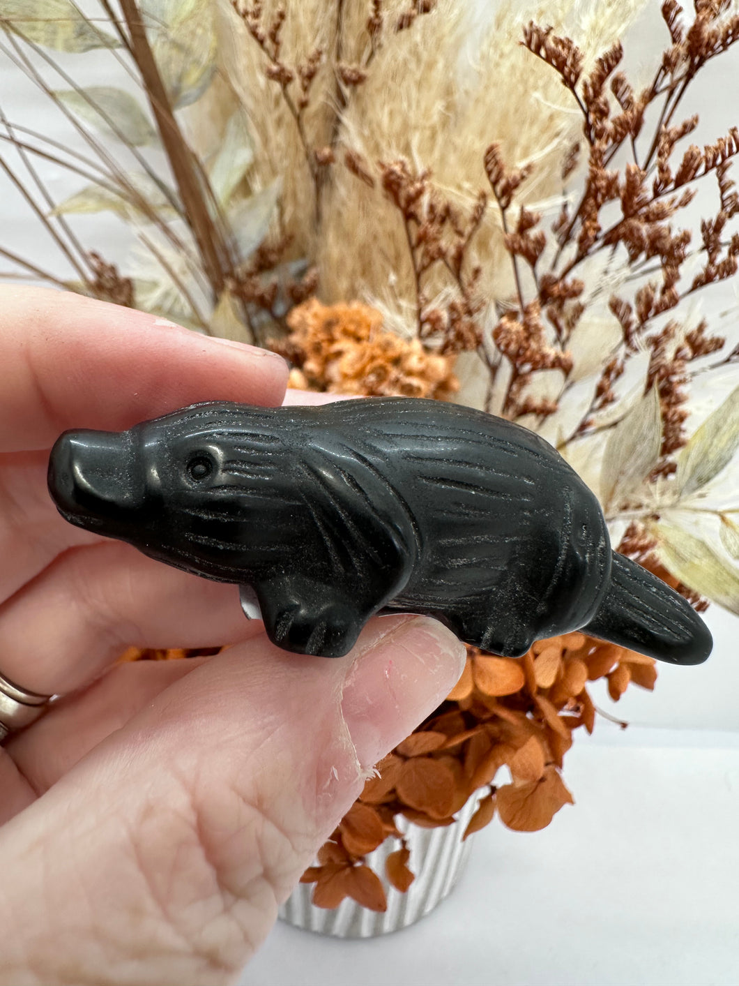 Platypus Blk Obsidian